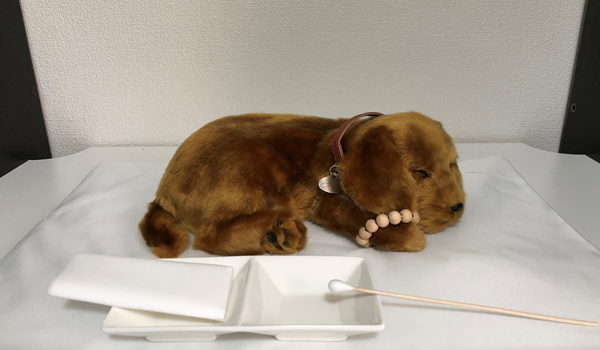 お見送りの前イメージ写真