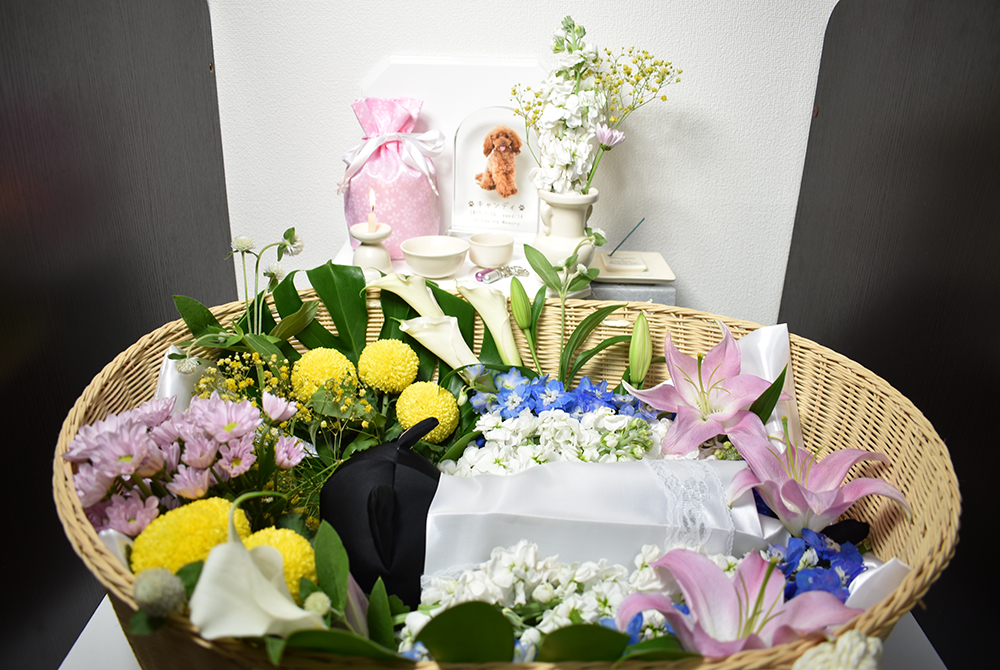 フラワー葬イメージ２